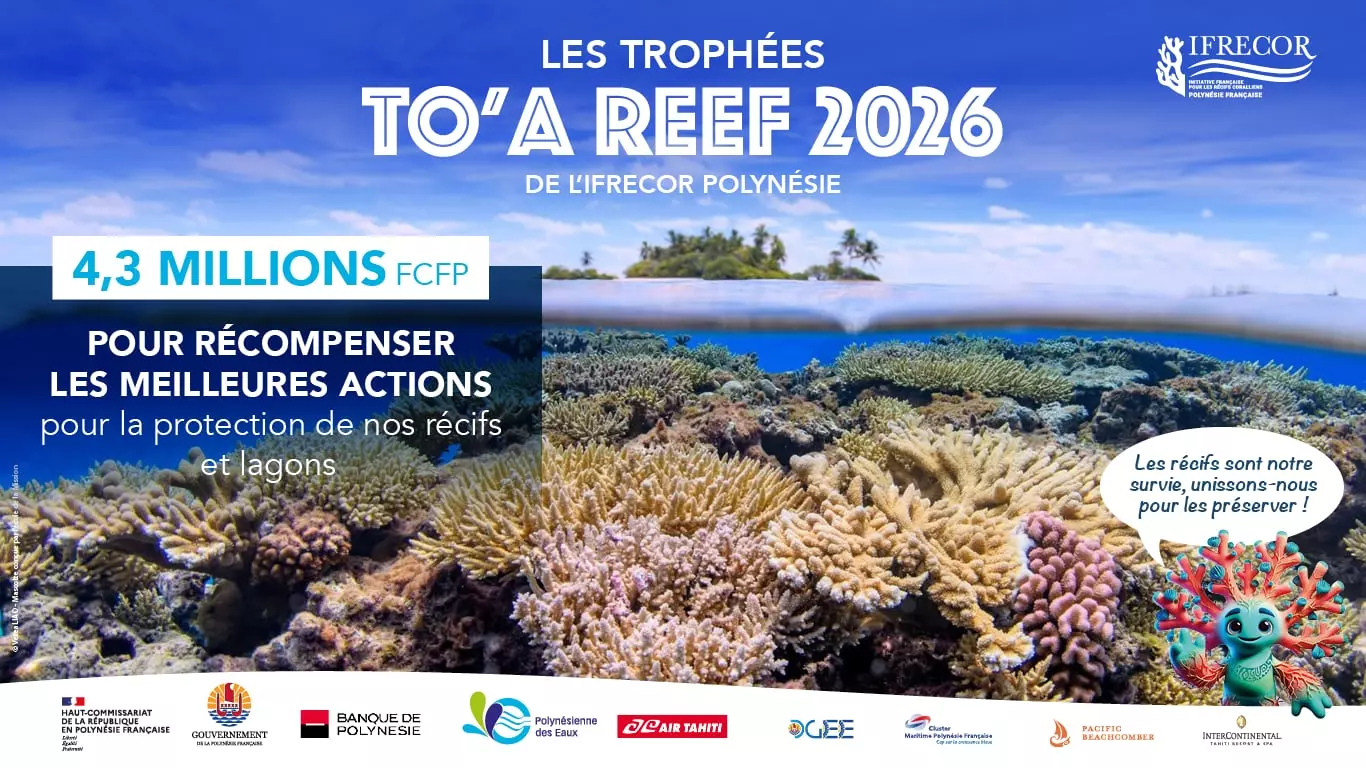 L’Ifrecor Polynésie lance la 3ème édition des Trophées TO’A Reef, les candidatures ouvertes