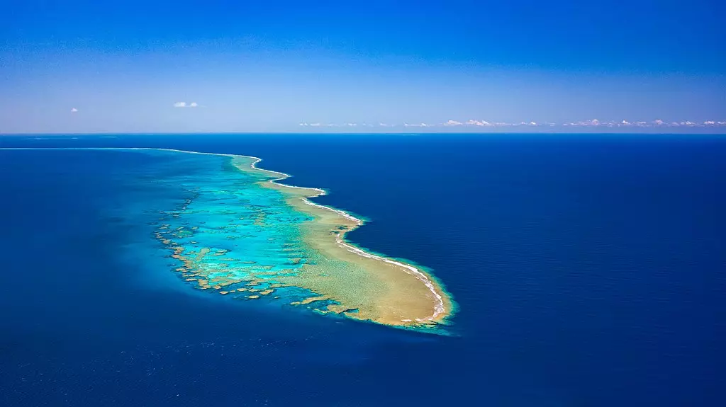 Un câble hors service va être démantelé dans les profondeurs de la mer de Corail