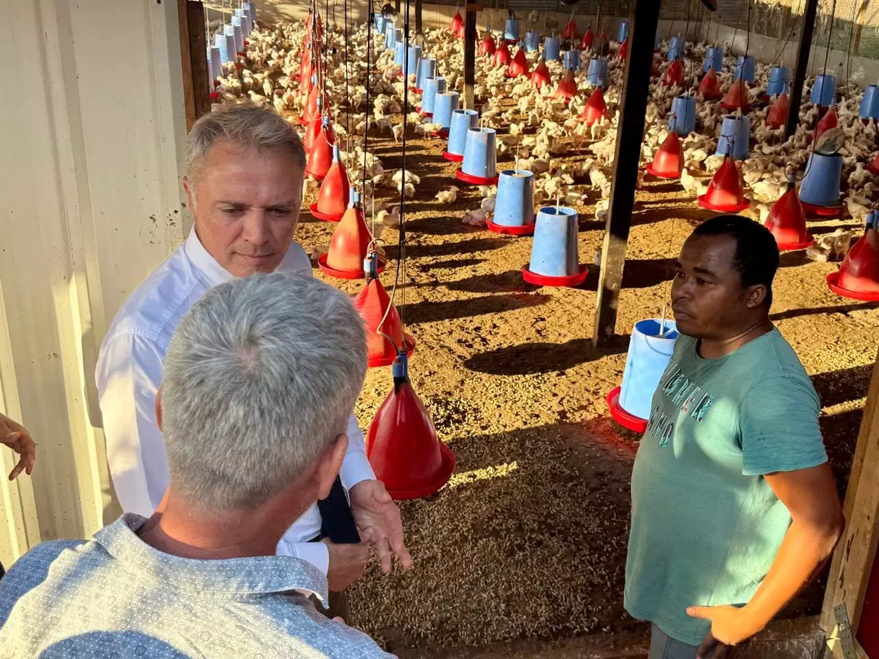 Agriculture : Le Préfet de Mayotte réaffirme le soutien de l'Etat à une filière avicole, encore fragilisée après le cyclone Chido