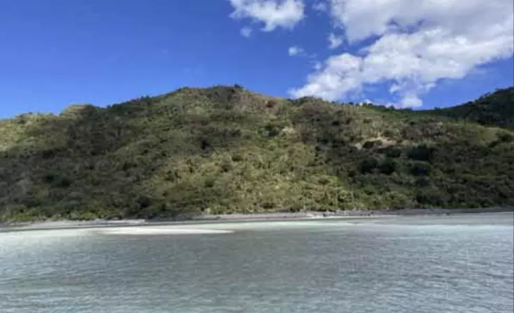 Mayotte : Après des années difficiles, les oranges de M’tsamboro reviennent