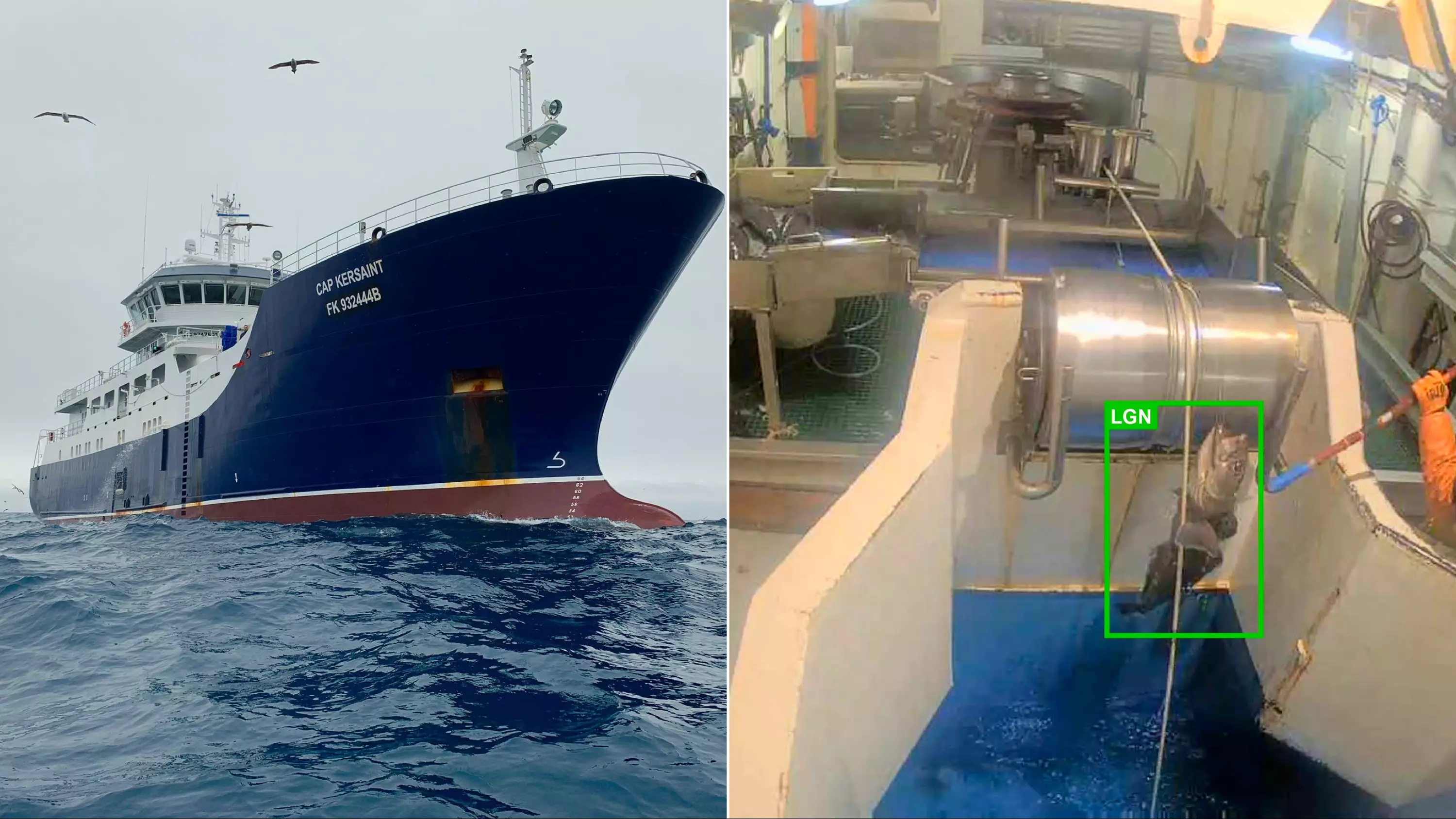 Thalos et Cap Bourbon déploient une solution d'analyse vidéo par intelligence artificielle pour la pêcherie de légine australe