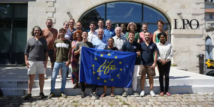La LPO lance un programme européen pour renforcer la protection des oiseaux d'Outre-mer