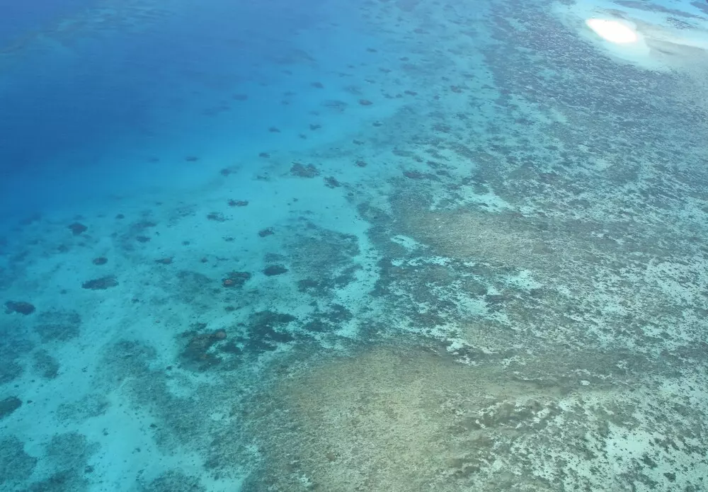 Australie : la Grande Barrière de corail pas « en péril » mais dans un état préoccupant