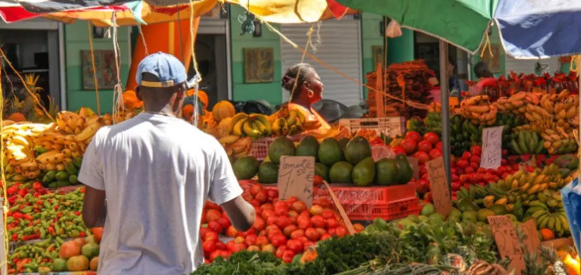 Interview. Les Chambres d’agriculture lancent le projet APPROLOM avec l’ambition de rapprocher la production agricole locale des cantines scolaires ultramarines