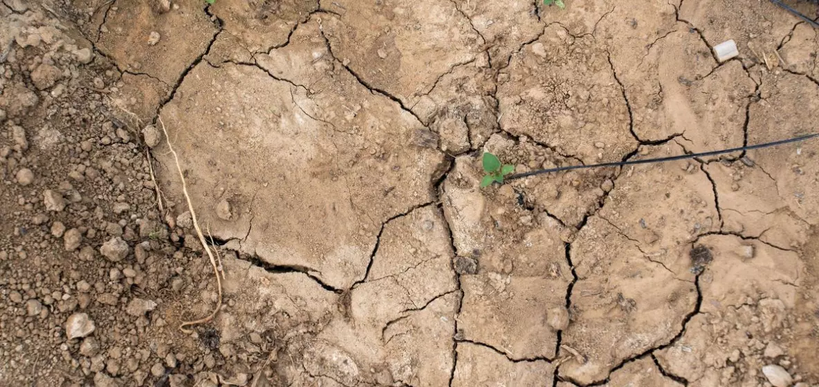 La Guadeloupe et la Martinique frappées par une double crise de l'eau, entre sécheresse et pollution