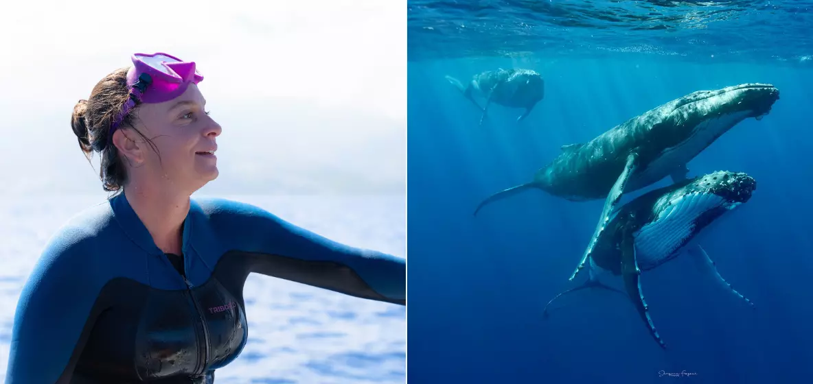INTERVIEW. Charlotte Esposito, présidente d’Oceania : « Les baleines à bosse feront partie des premières à subir les effets du changement climatique»