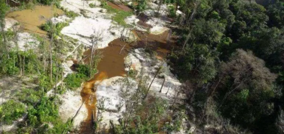 Lutte contre l'orpaillage illégal en Guyane : Un premier opérateur retenu qui sera réinstallé sur un site illégalement exploité