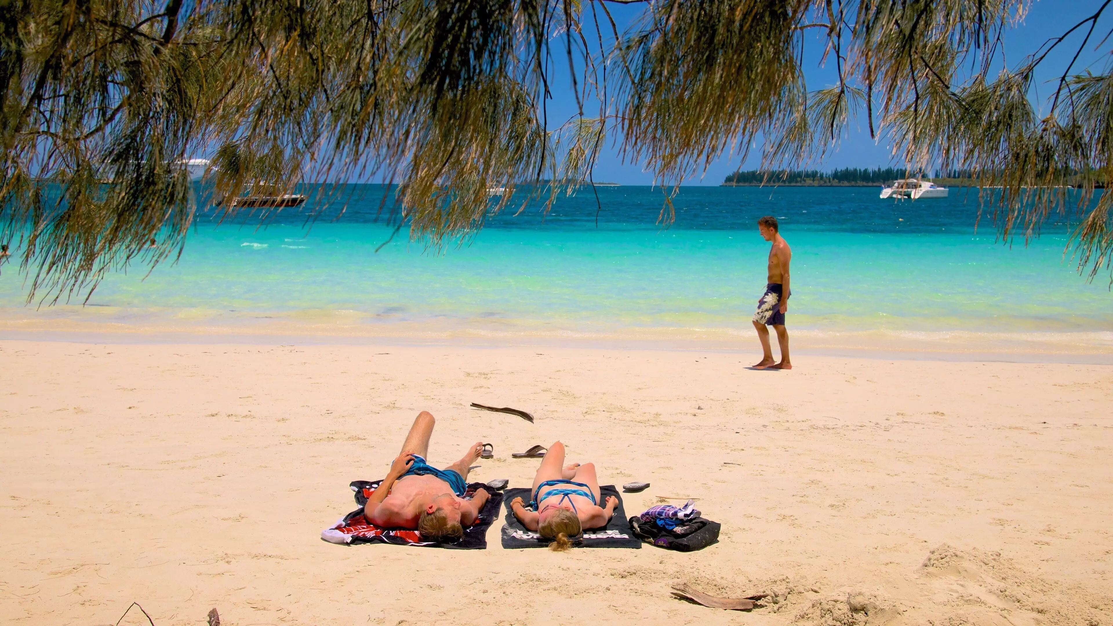 Nouvelle-Calédonie : La reprise du tourisme se confirme au deuxième trimestre 2026