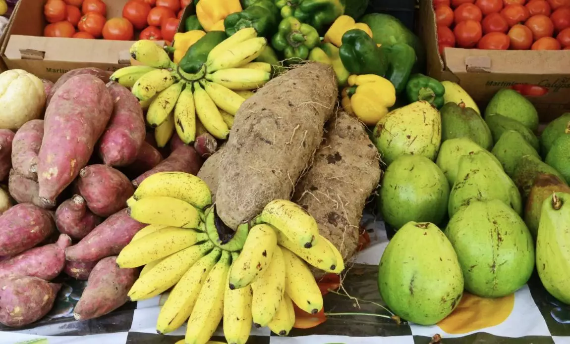 Agroécologie aux Antilles : il faut permettre aux agriculteurs de produire autrement et de vivre durablement de leur activité, affirme le Cirad