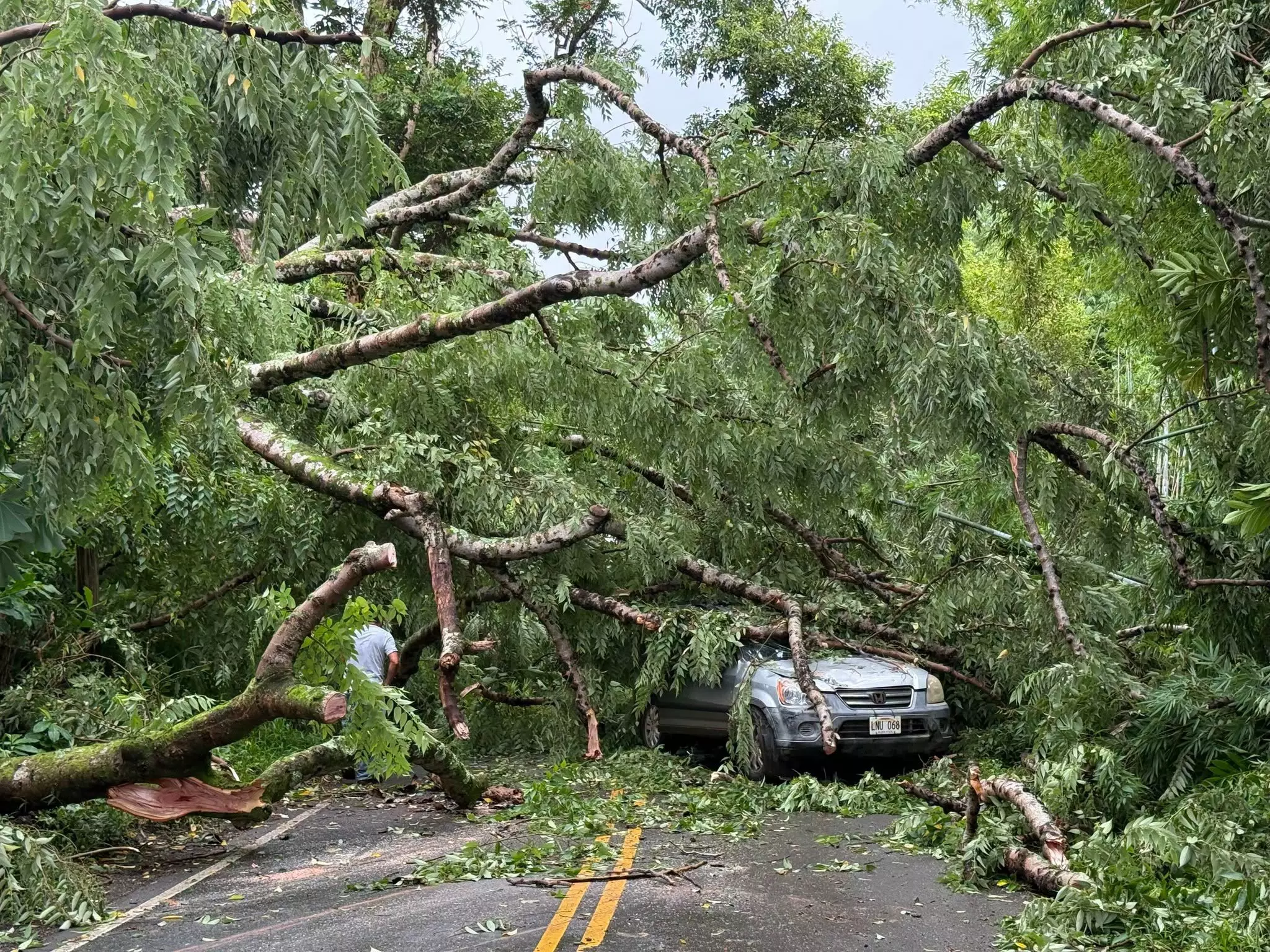 Pacifique : L’ouragan Lala provoque d'importantes inondations et coupures d'électricité à Hawaii