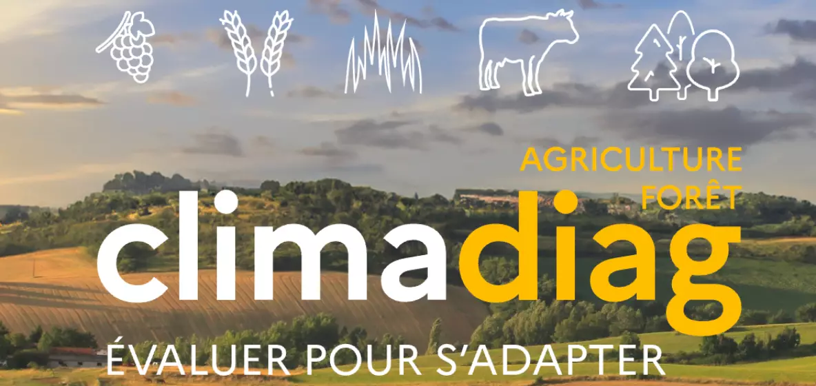 Climadiag Agriculture et Forêt s'ouvre aux Outre-mer, La Réunion et la Guyane premiers territoires intégrés