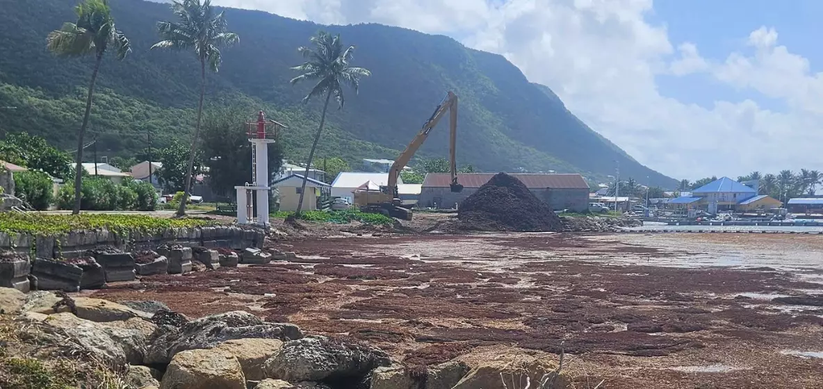 La Désirade : seuil d'alerte en hydrogène sulfuré  dépassé au site de Beauséjour après des échouements de sargasses