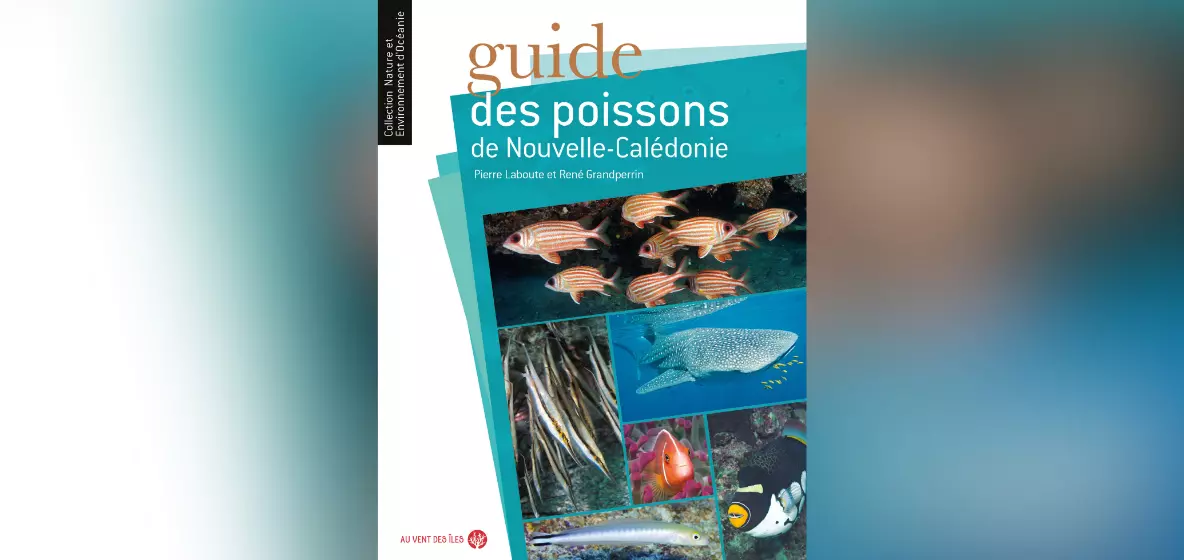 «&nbsp;Guide des poissons de Nouvelle-Calédonie&nbsp;» de Pierre Laboute et René Grandperrin&nbsp;: Entre science, exploration et émerveillement