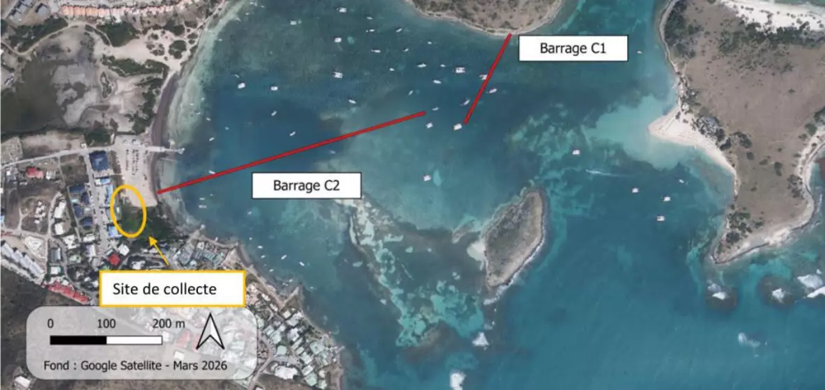 Saint-Martin : des barrages déviants anti-sargasses installés dès août