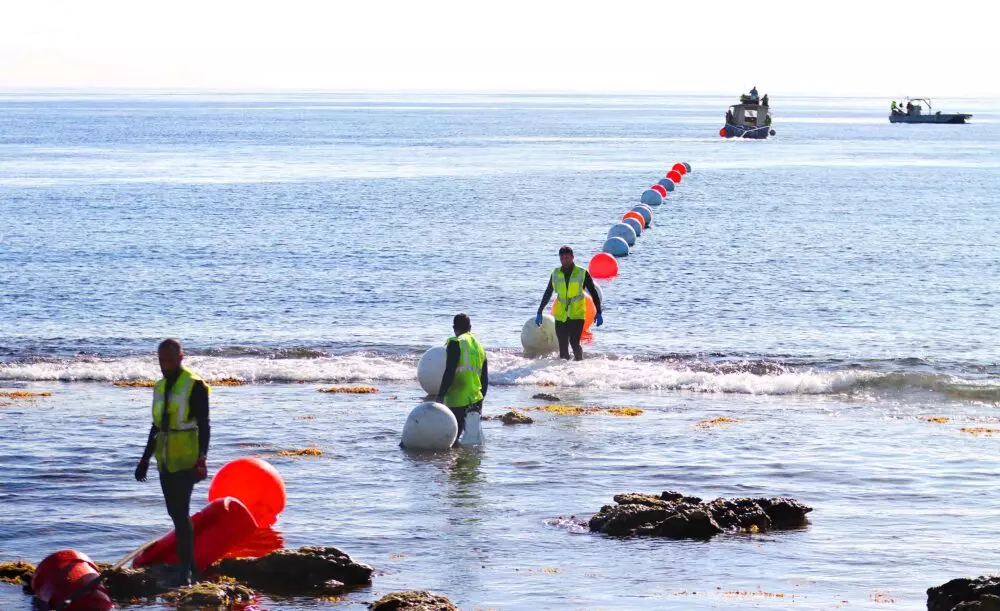 Câbles Google en Polynésie : Après Honomoana, Halaihai arrive à Tahiti