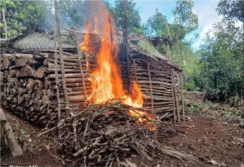 À Mayotte, une charbonnière illégale détruite à Bandraboua