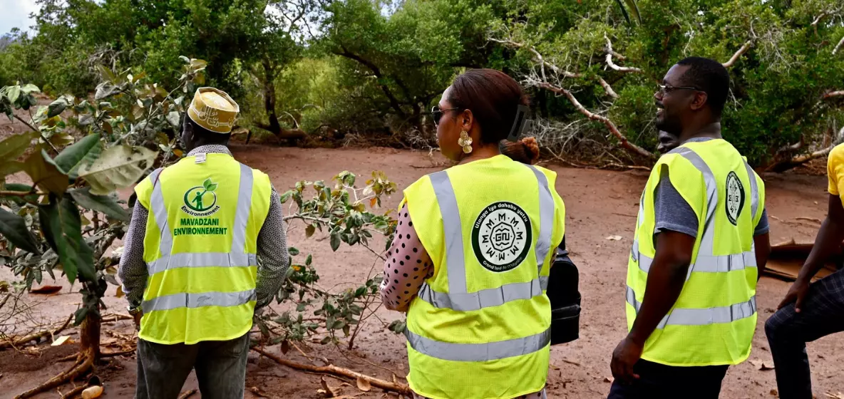 Mayotte : La communauté d'agglomération du Grand Nord protège sa mangrove et ses îlots