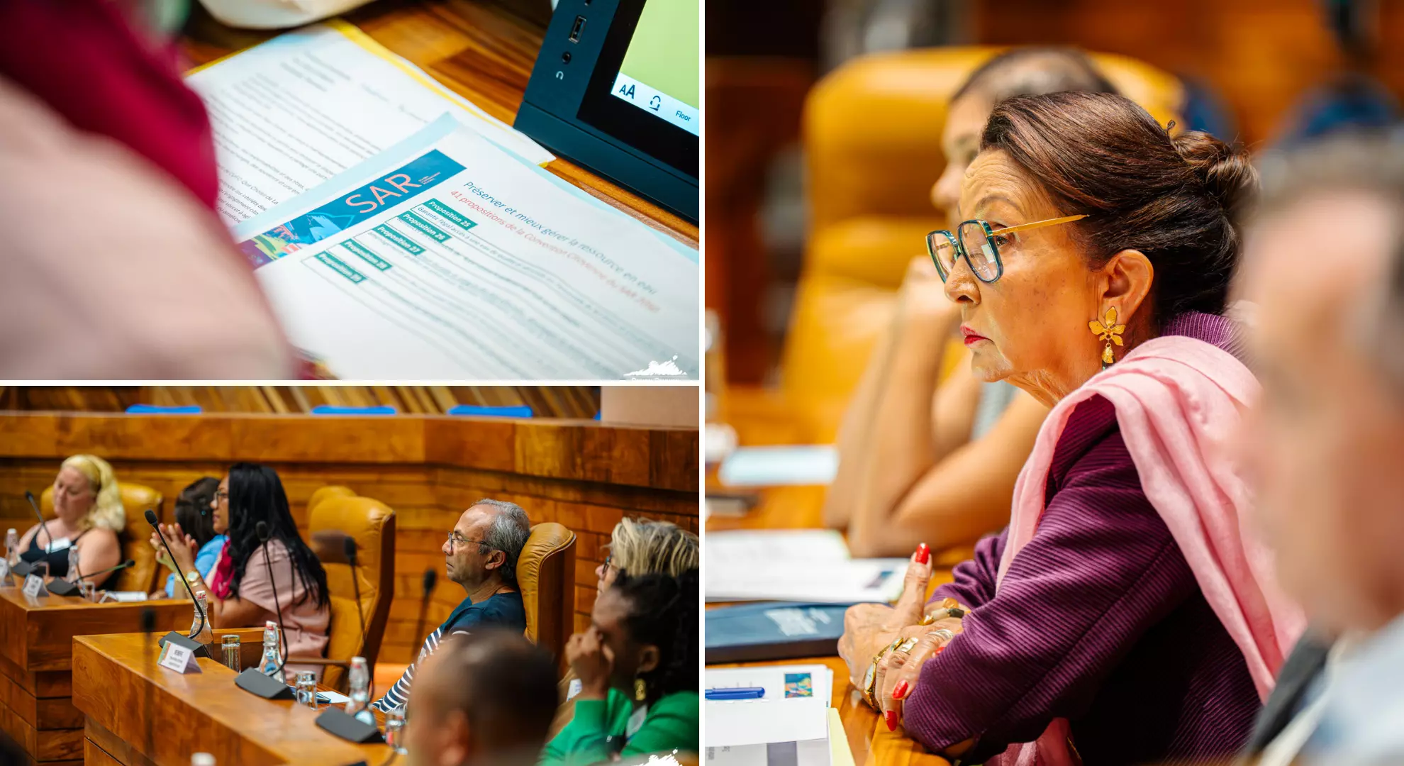 À La Réunion, 39 propositions citoyennes intégrées au projet de SAR 2050