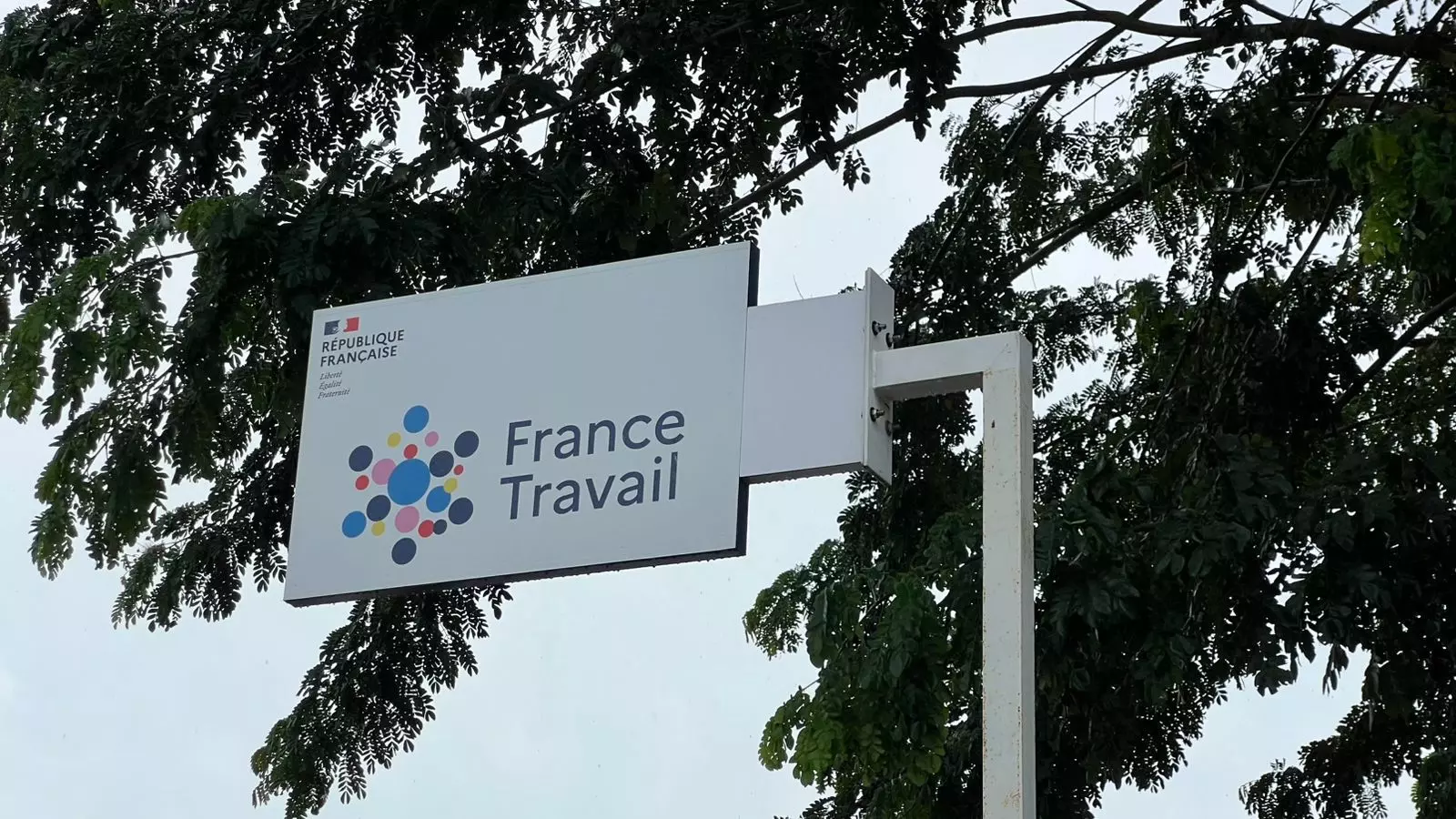 À Mayotte, le taux d’emploi des 15-64 ans tombe à 30% en 2025, son niveau le plus faible depuis 2014