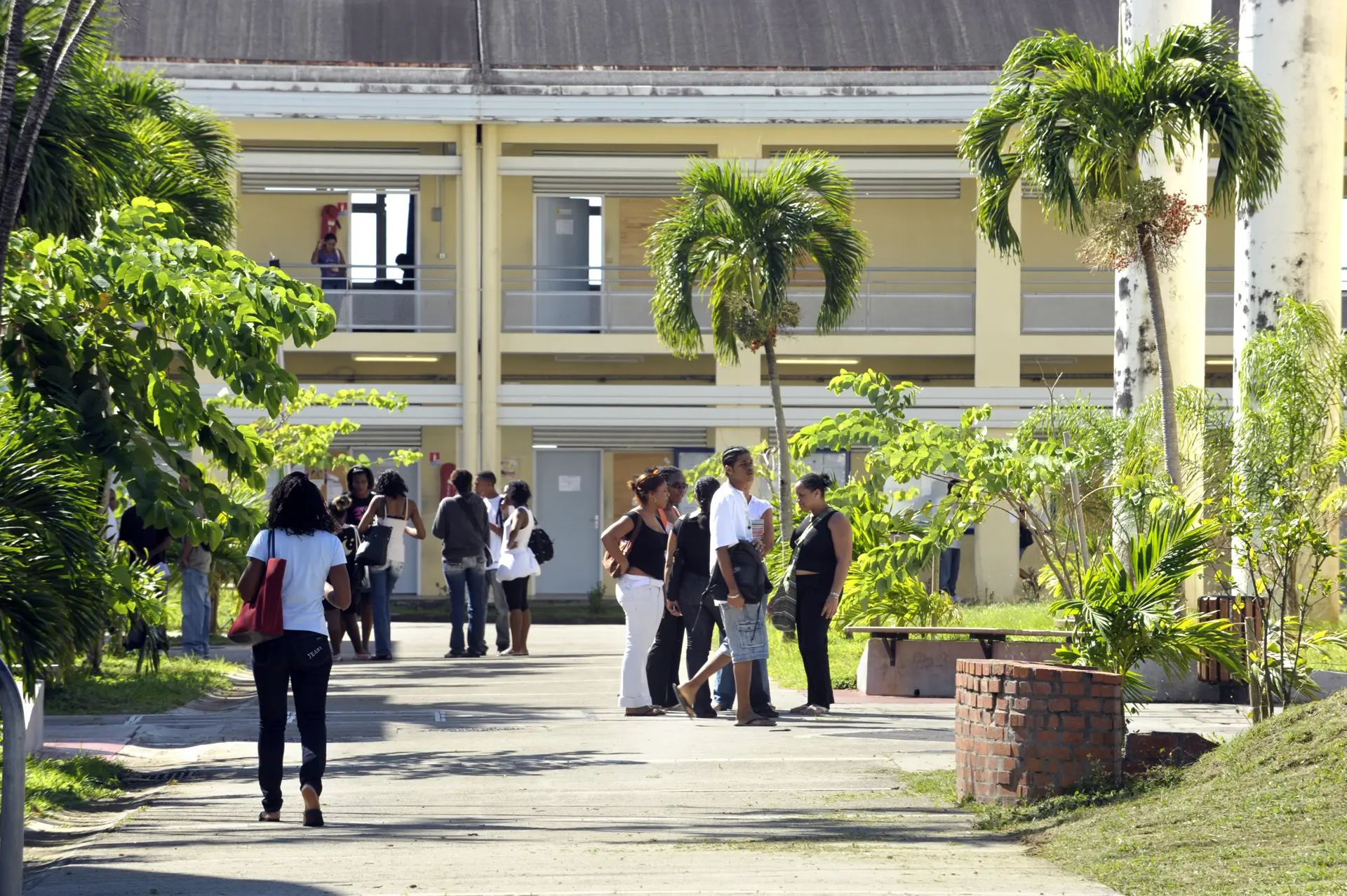 Guadeloupe : L'Université bascule les cours à distance jusqu’au 23 octobre