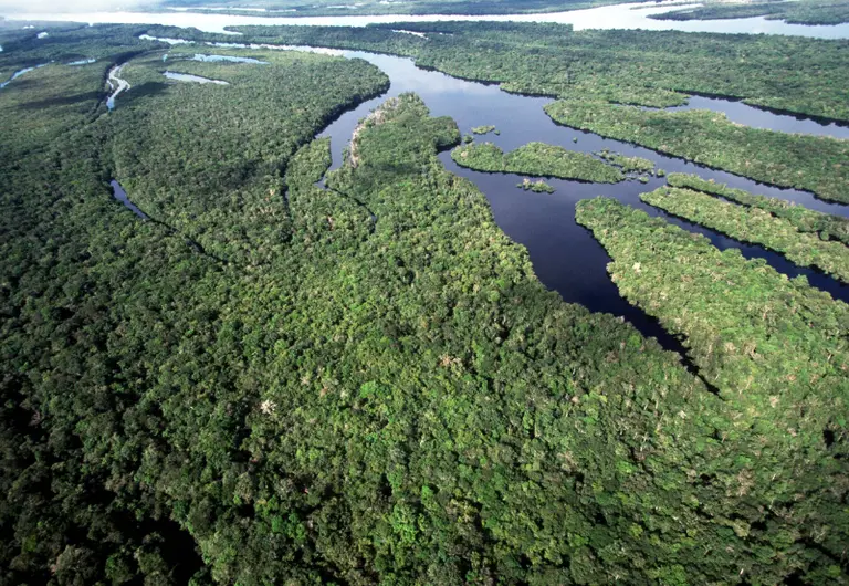 Brésil: la déforestation amazonienne au plus bas niveau depuis près de 40 ans