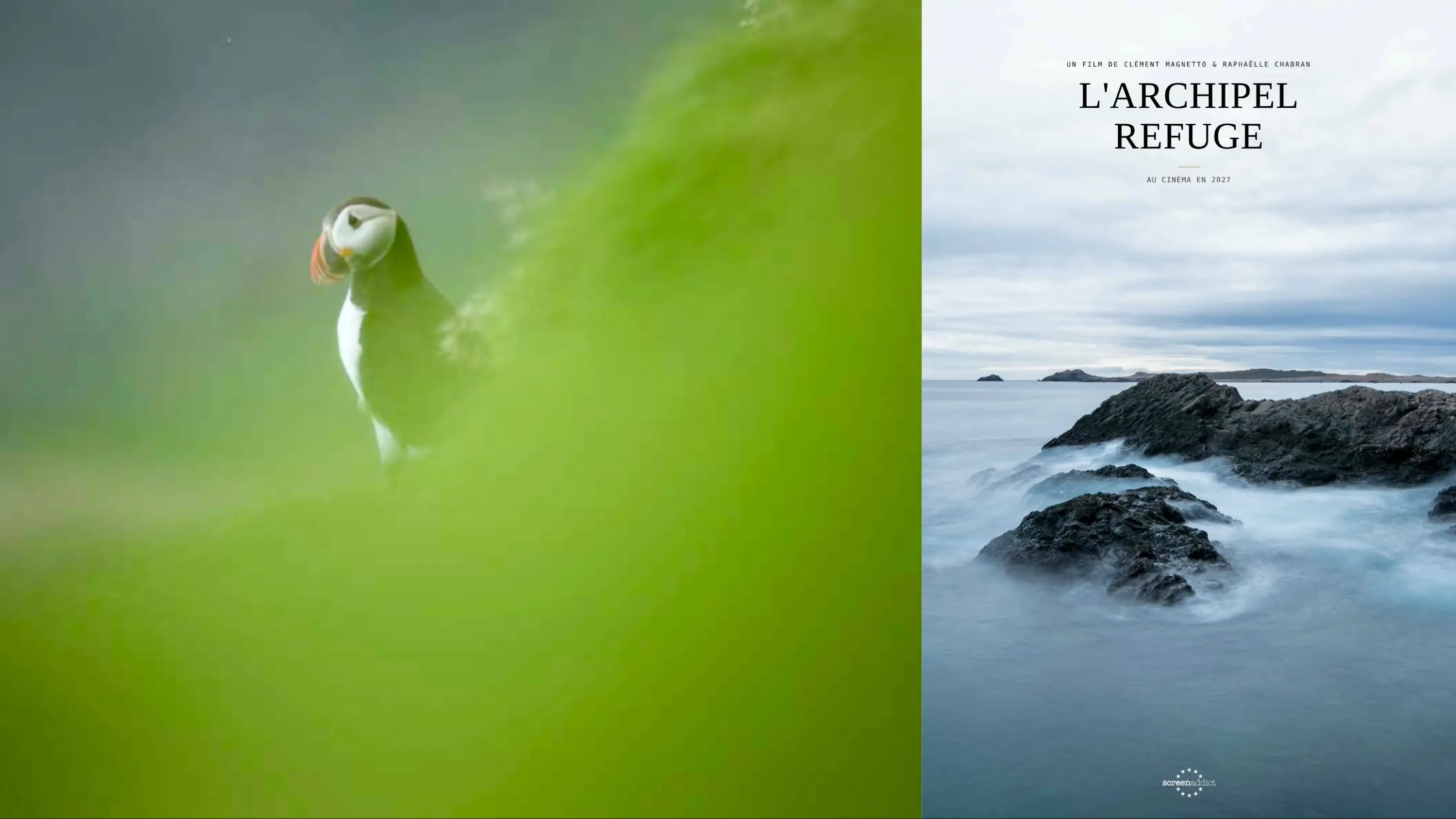 Appel aux dons pour la finalisation de « L’Archipel Refuge », le premier long-métrage naturaliste tourné à Saint-Pierre-et-Miquelon