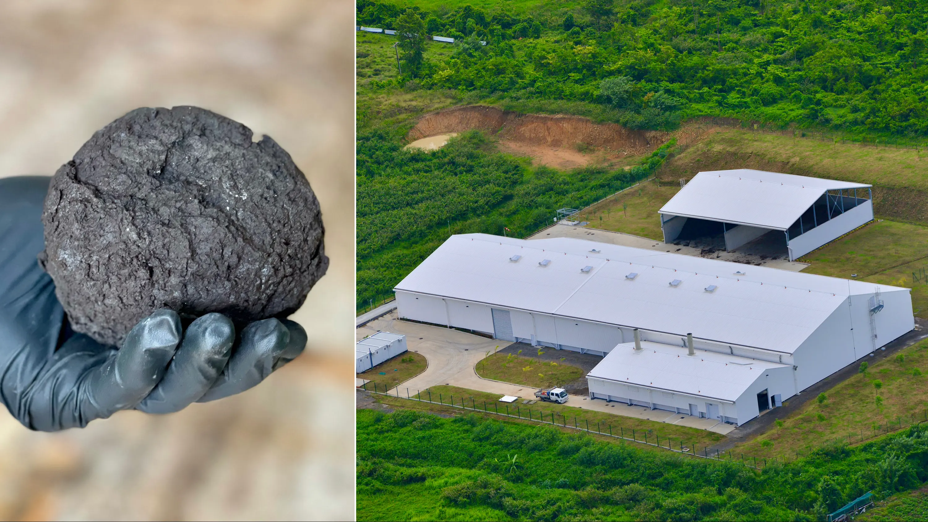 En Martinique, Terraviva transforme les boues d’épuration en compost : une filière stratégique au service de l’économie circulaire