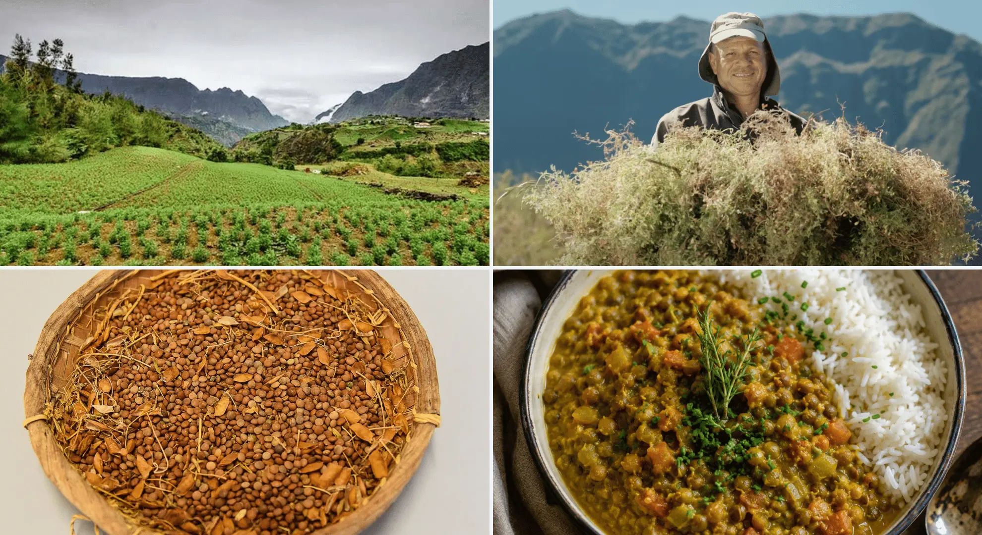 Fête de la Lentille de Cilaos 2026 : Cinq jours de festivités pour mettre à l’honneur les traditions et le savoir-faire autour de la lentille, fleuron du terroir réunionnais
