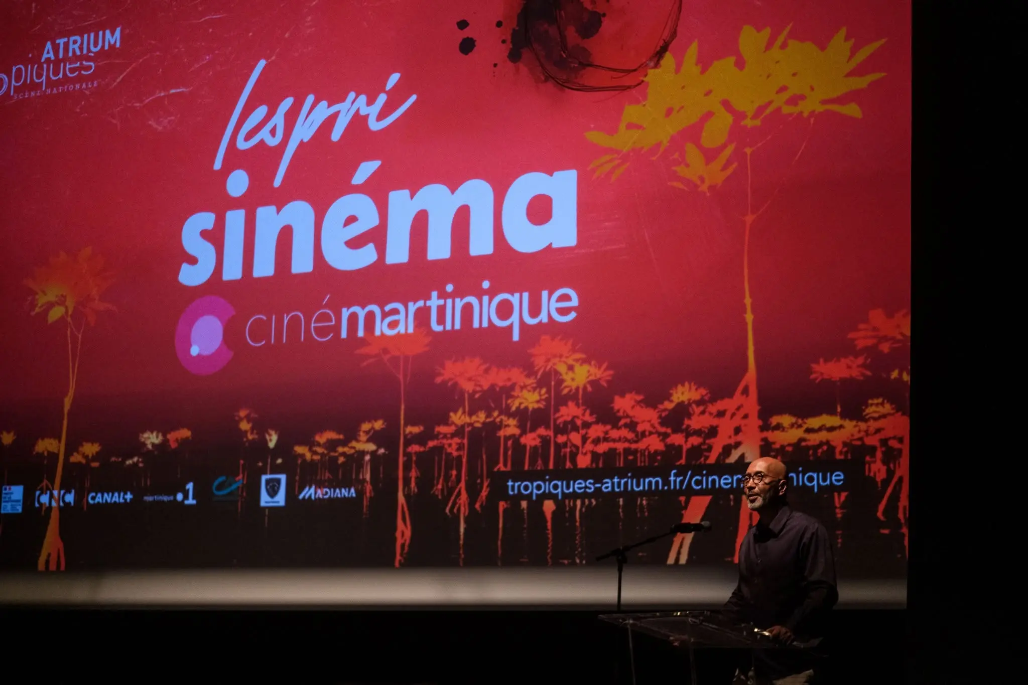 Plusieurs nouveautés et projets d’envergure pour célébrer les vingt ans de CinéMartinique Festival