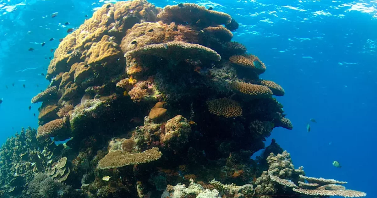 Climat: Une campagne digitale internationale OneOceanScience lancée en amont de la COP26