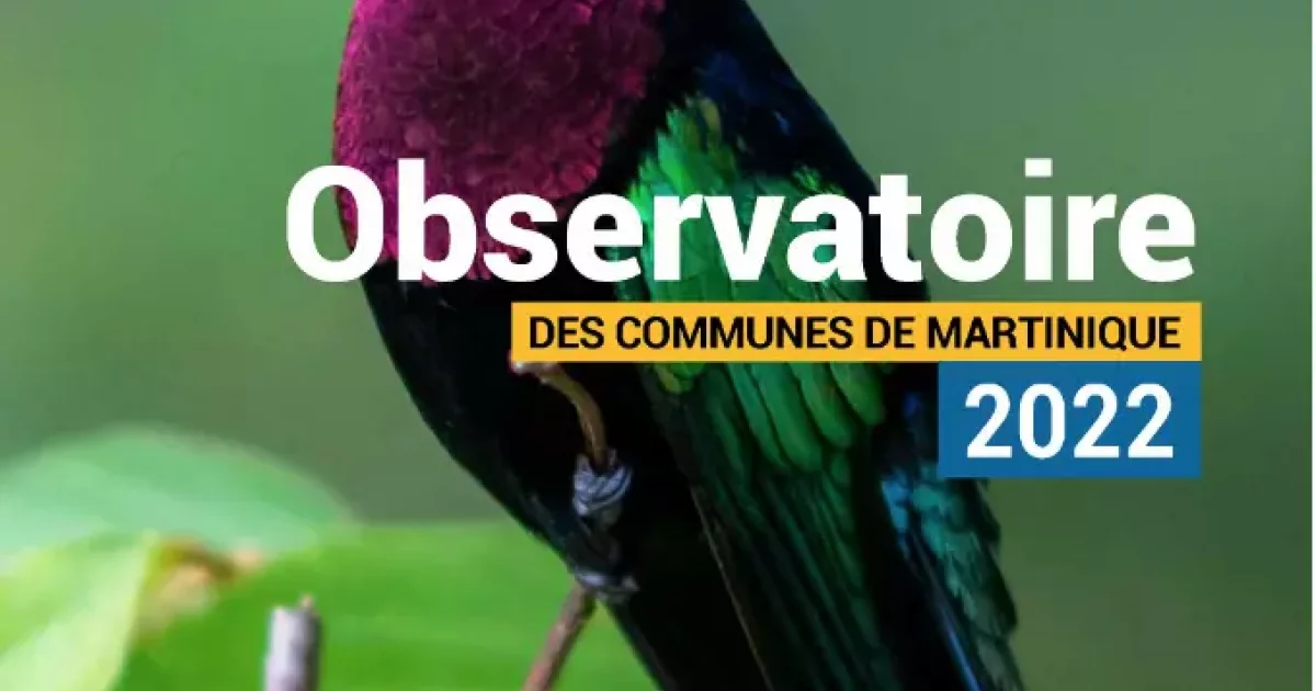 Martinique : L’observatoire des communes de Martinique 2022 publié par ...