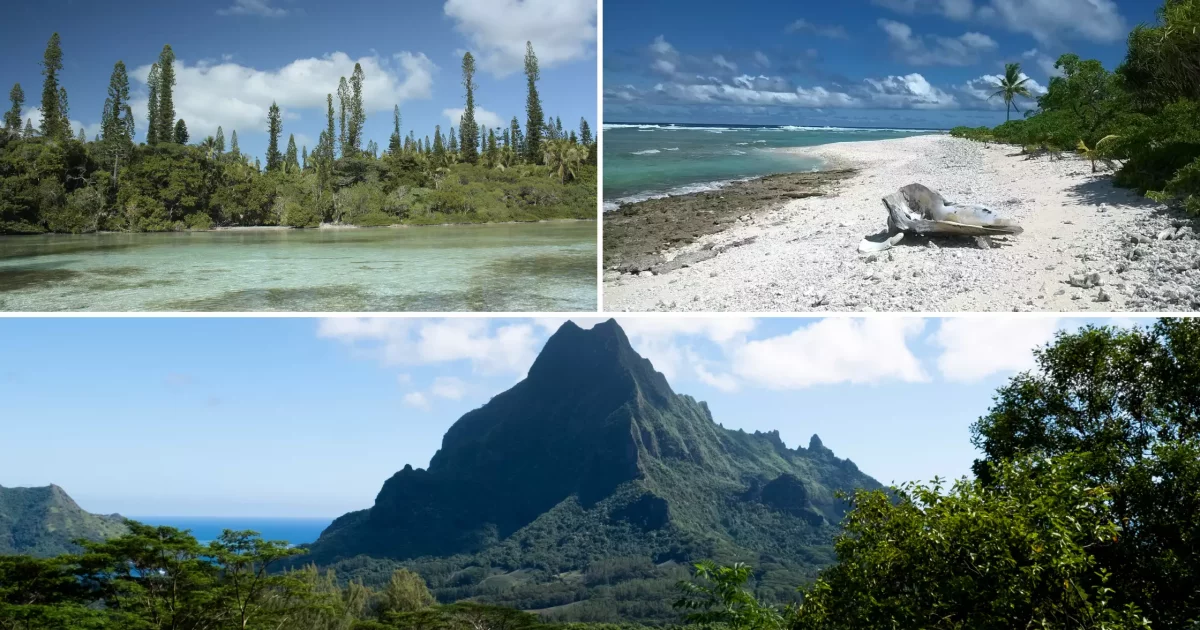 1,39 million d’euros pour la biodiversité dans le Pacifique grâce à un ...
