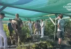 Nouvelle-Calédonie : Une convention entre la mairie de Koumac et le RSMA pour la formation des jeunes à la pépinière communale
