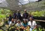 En collaboration avec la Fondation de la Mer, le Groupe CMA CGM veut replanter 6 hectares de mangroves en Martinique