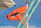 La Réunion : Activités nautiques, les autorités appellent à la vigilance face au risque requin