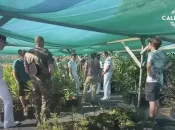Nouvelle-Calédonie : Une convention entre la mairie de Koumac et le RSMA pour la formation des jeunes à la pépinière communale