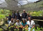En collaboration avec la Fondation de la Mer, le Groupe CMA CGM veut replanter 6 hectares de mangroves en Martinique