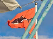 La Réunion : Activités nautiques, les autorités appellent à la vigilance face au risque requin