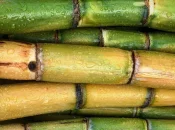 Sucre : "Près de 2 millions de tonnes de cannes à sucre" récoltées dans les dans les départements et régions d'outre-mer