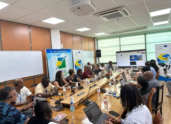 La Guadeloupe accueille une délégation caribéenne dans le cadre d’une coopération régionale face aux sargasses