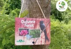 Mayotte : Mayotte Nature Environnement et l’OFB conçoivent une mallette pédagogique pour sensibiliser les enfants à la forêt