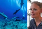 Polynésie : « Si on continue ainsi, on risque le point de non-retour » : l’alerte de Pamela Carzon, docteur en biologie marine et présidente de l’association Dauphins de Rangiroa, sur le tourisme de plongée sous-marine