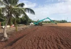 Aux Antilles, mobilisation accrue contre les arrivages massifs de sargasses
