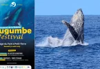Mayotte va accueillir son premier Festival de la Baleine
