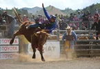 Nouvelle-Calédonie : Un retour aux sources pour la 47ème édition de la Foire de Bourail