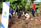 La Réunion : 1300 arbres plantés à Saint-Paul dans le cadre du Plan 1 Million d’Arbres initiépar le Département, via une action intergénérationnelle