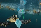 Planète : Pas de traité contre la pollution plastique à Genève