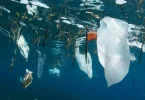 Plus que quatre jours pour boucler un traité mondial contre la pollution plastique, y compris en milieu marin