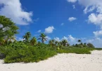 Tourisme en Outre-mer : près de 4,5 millions de passagers en 2024, selon Atout France