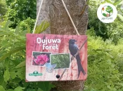 Mayotte : Mayotte Nature Environnement et l’OFB conçoivent une mallette pédagogique pour sensibiliser les enfants à la forêt